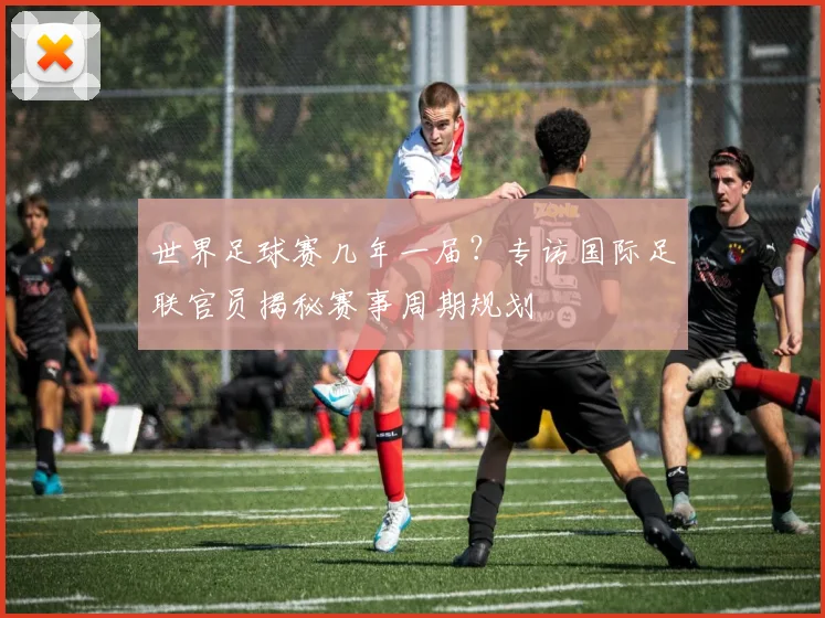 世界足球赛几年一届?专访国际足联官员揭秘赛事周期规划
