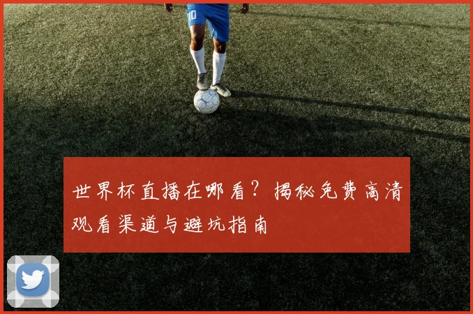 世界杯直播在哪看？揭秘免费高清观看渠道与避坑指南