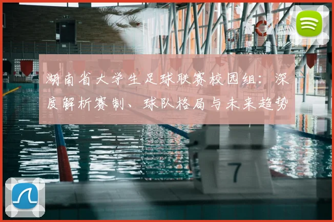 湖南省大学生足球联赛校园组:深度解析赛制、球队格局与未来趋势